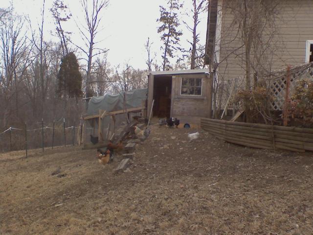 24277_downsized_0123011749_1.jpg
