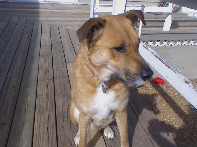 24277_downsized_0213011327a.jpg