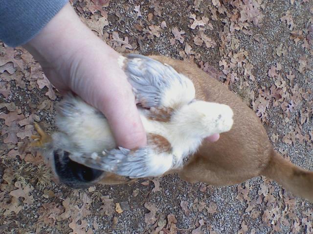 24277_downsized_1121001007.jpg