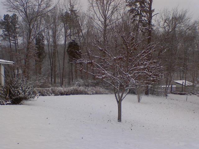 24277_downsized_1226001016.jpg