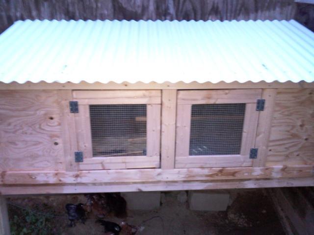 24277_snc01740.jpg