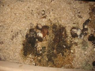 24301_img_3615_1.jpg