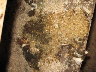 24301_img_3616_1.jpg