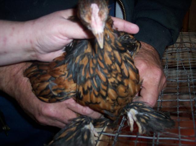 24335_life_on_the_farm_102010_122.jpg