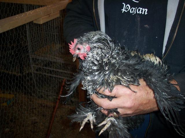 24335_life_on_the_farm_102010_130.jpg