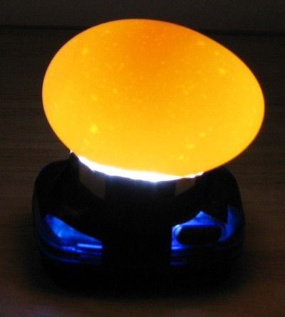 24456_candling_egg_014.jpg