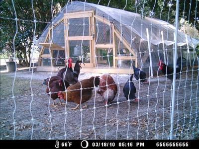 24456_game_cam_036.jpg