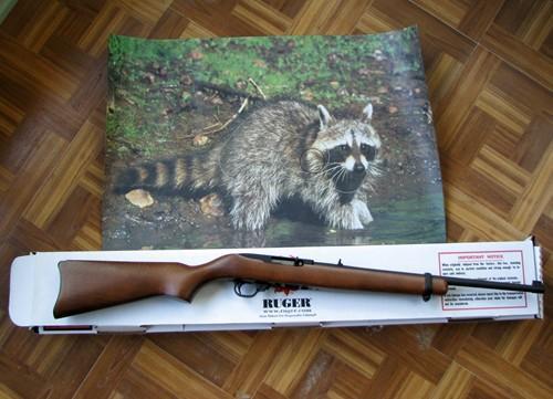 24456_predators_001_resize.jpg