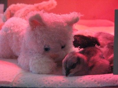 24456_sleep_4.jpg