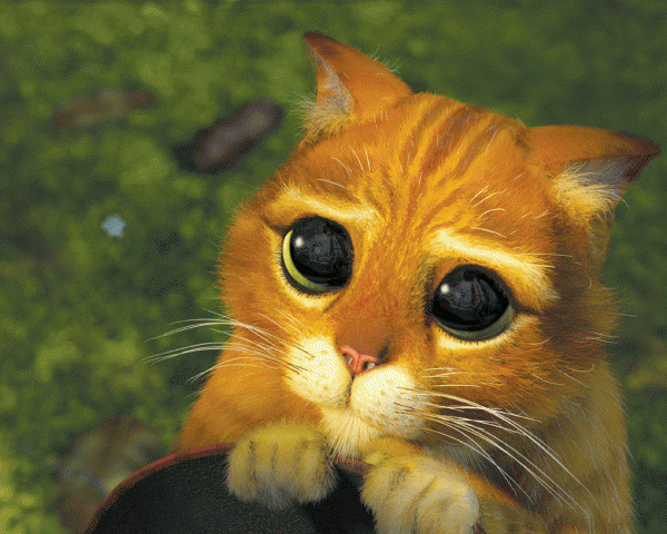 24587_24137_pussinboots.gif