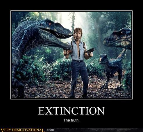 24587_chuck_norris.jpg