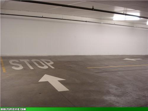 24587_stop.jpg