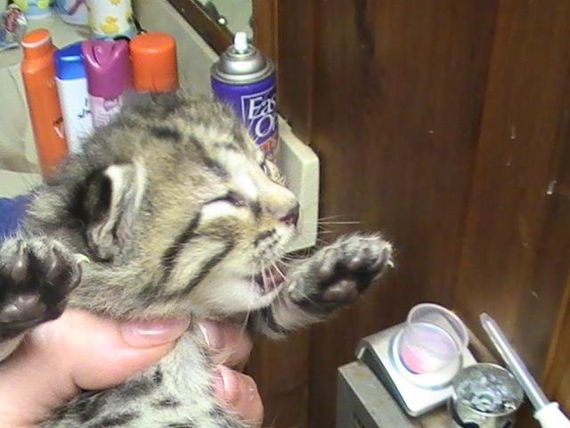 24631_heaven_april_2009_023.jpg