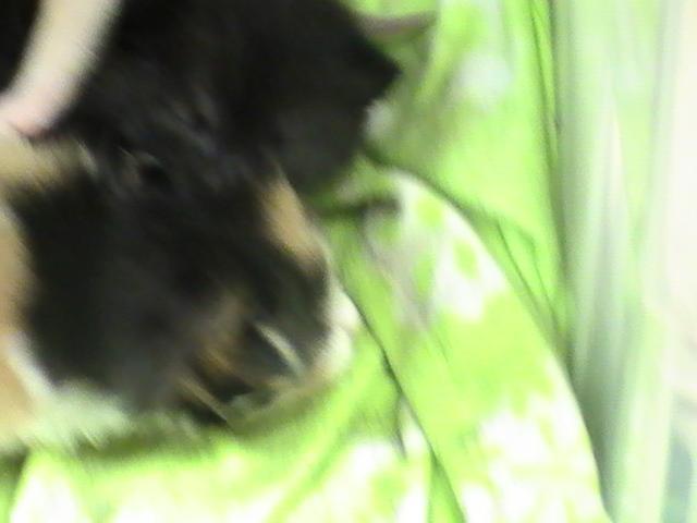 24631_heaven_april_2009_030.jpg