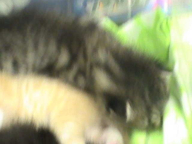 24631_heaven_april_2009_031.jpg