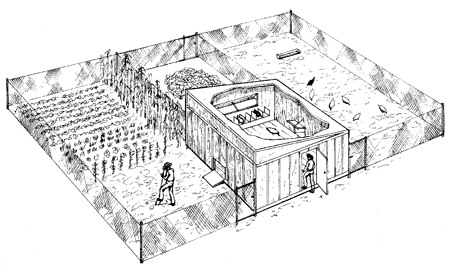 24653_chicken_garden.gif