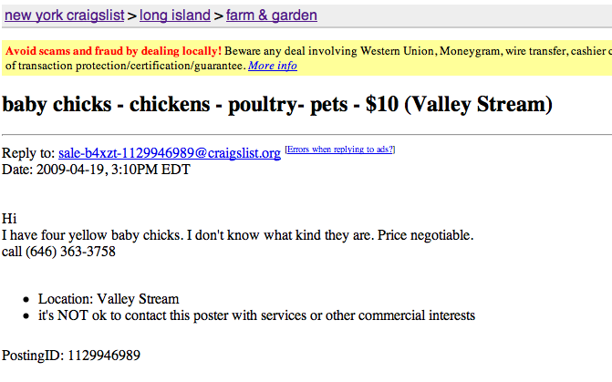 Chicks available on Craigslist - Long Island | BackYard ...