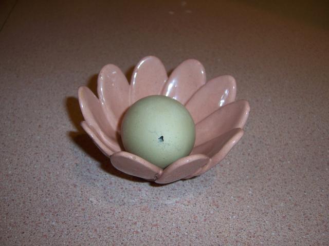 24751_100_8976.jpg