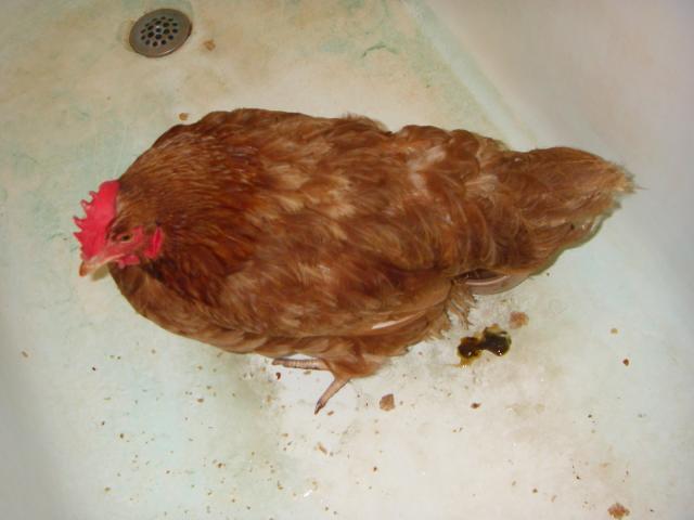 24841_imgp7829.jpg