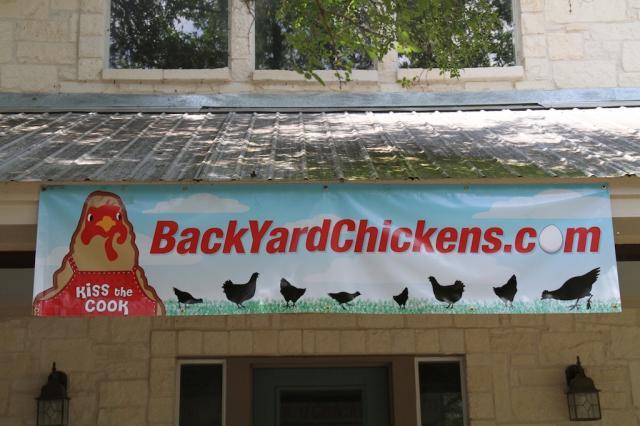24_chickenstock2010__006.jpg