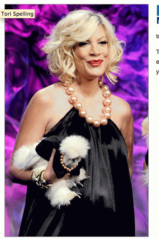 24_tori_spelling_chicken.png