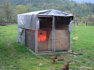 25038_outdoor_brooder_001.jpg