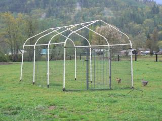25038_outdoor_brooder_009.jpg