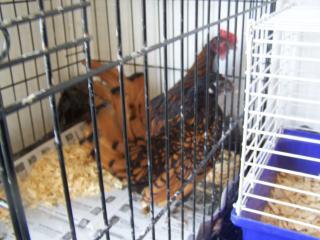 25053_110_2178.jpg