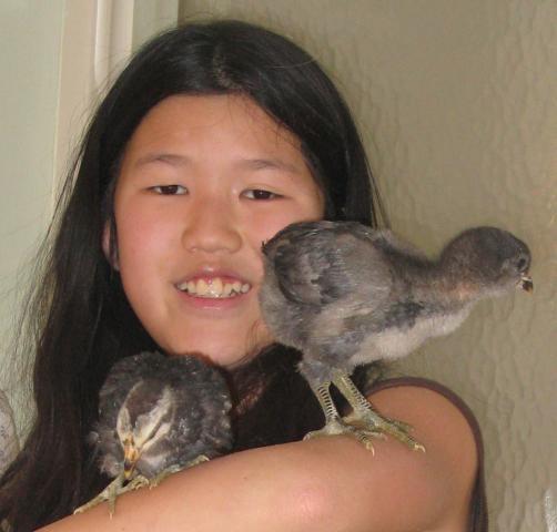 25163_jianxia_chicks_3_4-10-2009_00042.jpg