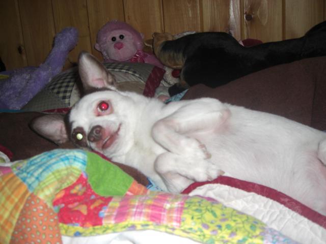 25181_039.jpg