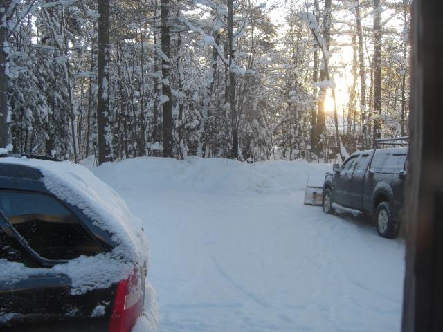 25181_cimg2962.jpg