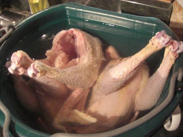 25181_cimg4466.jpg
