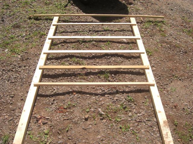 25181_cimg4493.jpg