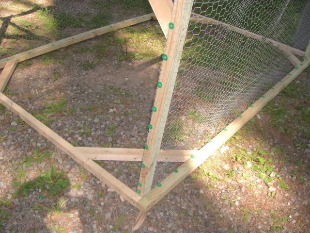 25181_cimg4496.jpg