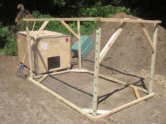 25181_cimg4503.jpg