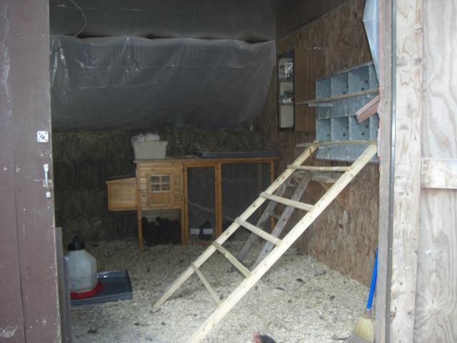 25181_cimg4537.jpg
