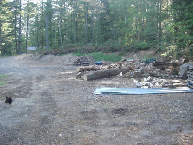 25181_cimg4572.jpg