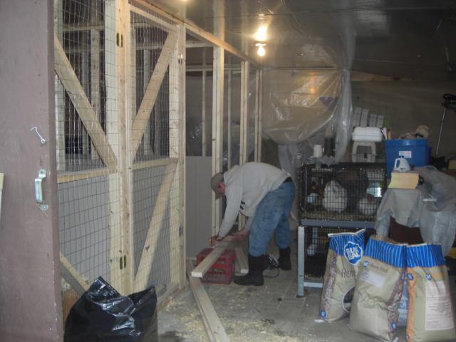25181_cimg4728.jpg