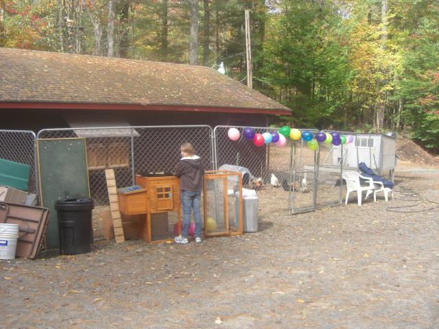 25181_cimg4733.jpg