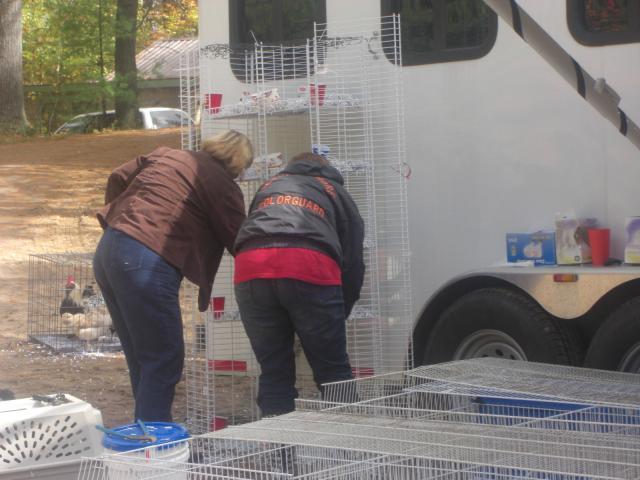 25181_cimg4734.jpg
