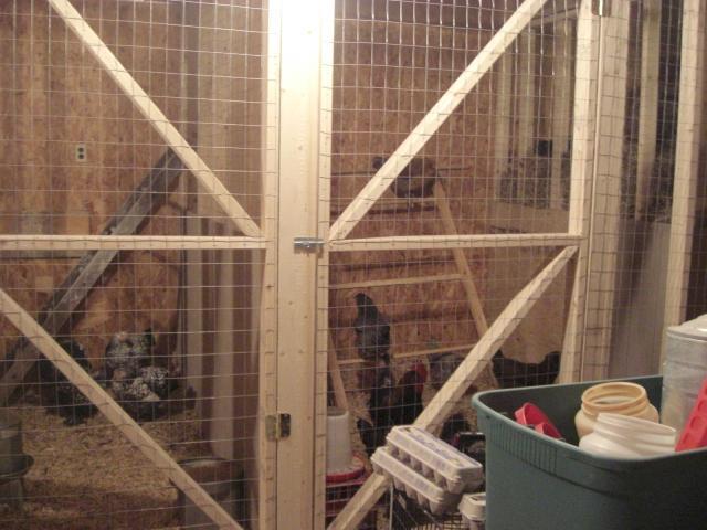 25181_cimg4800.jpg