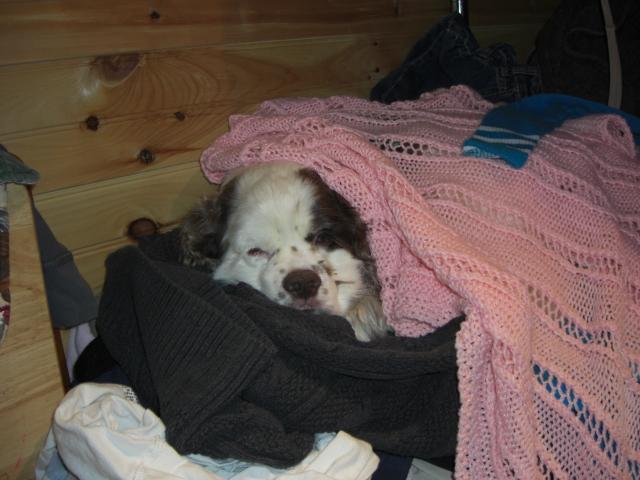 25181_cimg5137.jpg