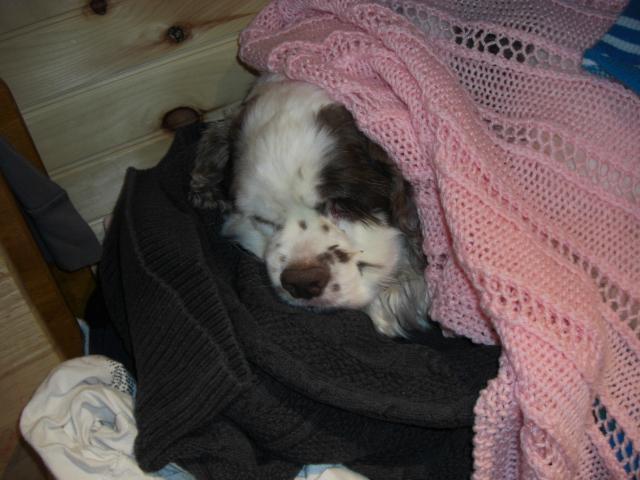 25181_cimg5138.jpg