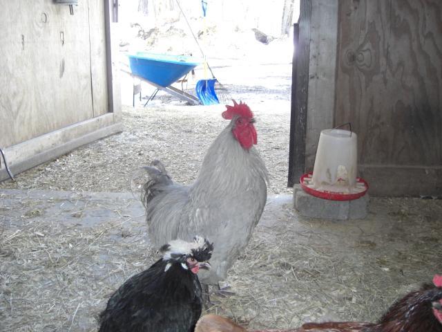 25181_cimg5243.jpg