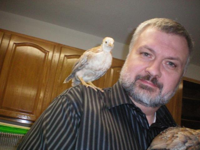 25270_10_brooder.jpg