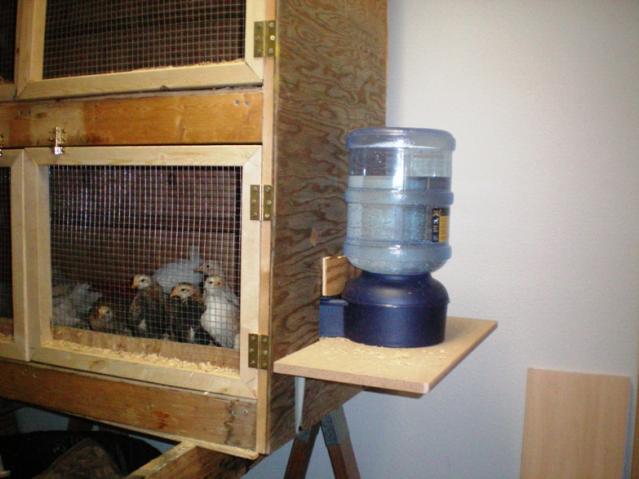 25270_8_brooder.jpg