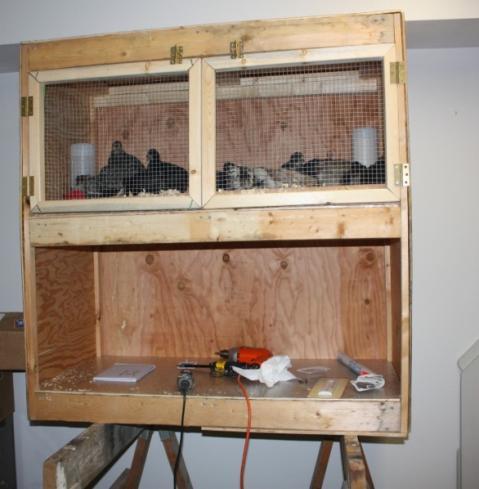 25270_brooder_8.jpg