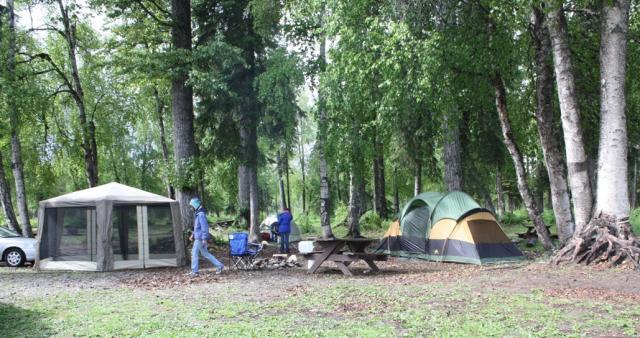 25270_camping.jpg