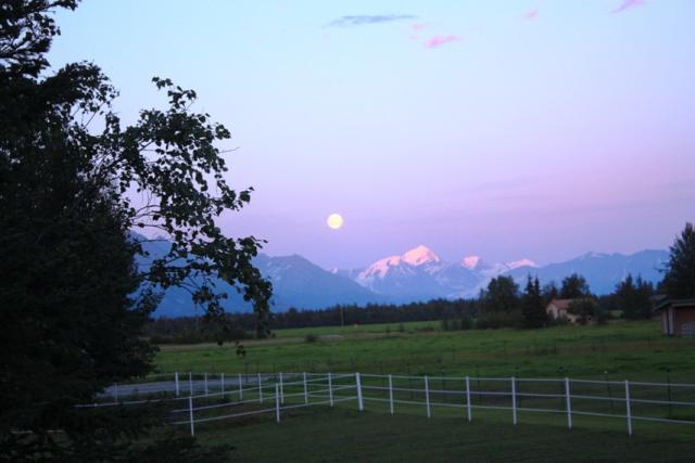 25270_full_moon.jpg