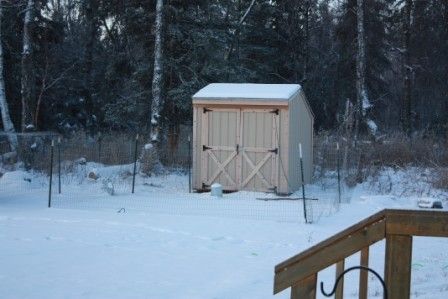 25270_snow3.jpg